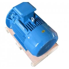 Электродвигатель АИР 63 В2 0,55 кВт 3000 об/мин IM 2081 комби