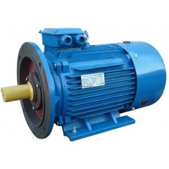 Электродвигатель АИР 180 М6 18,5 кВт 1000 об/мин IM 2001 комби (лапы+фланец)