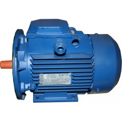 Электродвигатель АИР 80 А6 0,75 кВт 1000 об/мин IM 2081 комби