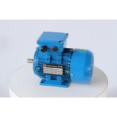 Электродвигатель АИР 63 А4 0,25 кВт 1500 об/мин IM 1081 лапы