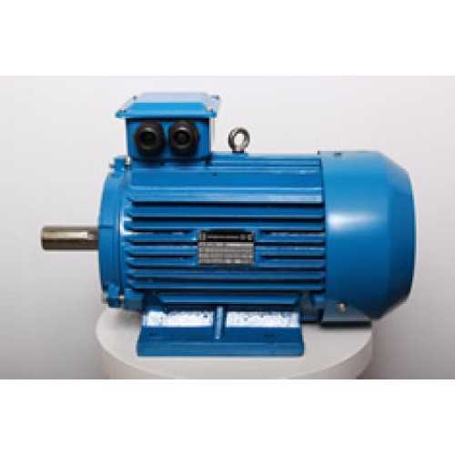 Электродвигатель АИР 112 M4 5,5 кВт 1500 об/мин IM 1081 лапы