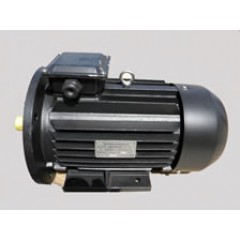 Электродвигатель АИР 200 L4 45 кВт 1500 об/мин IM 2001 комби (лапы+фланец)