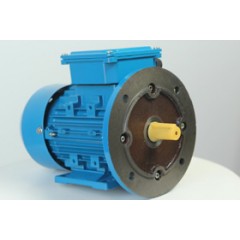 Электродвигатель АИР 63 В4 0,37 кВт 1500 об/мин IM 2081 комби
