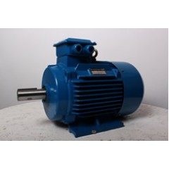 Электродвигатель АИР 160 М2 18,5 кВт 3000 об/мин IM 1001 лапы