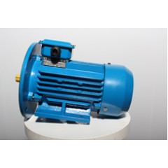 Электродвигатель АИР 90 LВ8 1,1 кВт 750 об/мин IM 2081 комби