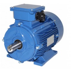 Электродвигатель 5АМХ 160 М6 15 кВт 1000 об/мин Лапы (IM 1081)