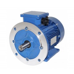 Электродвигатель 5АМХ 160 М6 15 кВт 1000 об/мин Комби (IM 2081)