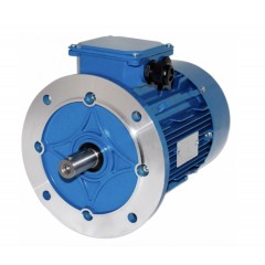 Электродвигатель 5АМХ 160 М6 15 кВт 1000 об/мин 3081 (большой фланец)