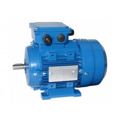 Электродвигатель АИС 56 В4 1500 об/мин 0,09 кВт IM1081 (B3) лапы DIN