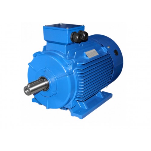 Электродвигатель АИС 160 L2 3000 об/мин 18,5 кВт IM1081 (B3) лапы DIN