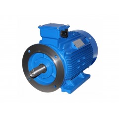 Электродвигатель АИС 100 L2 3000 об/мин 3 кВт IM2081 (B35) комби (лапы+фланец) DIN