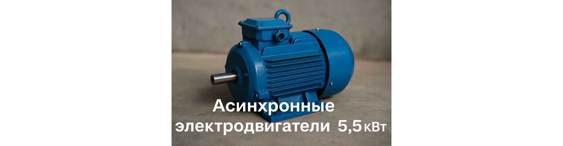 Асинхронные электродвигатели 5.5 кВт в магазине SILA380