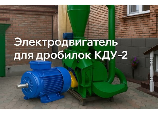Электродвигатель для дробилок КДУ-2