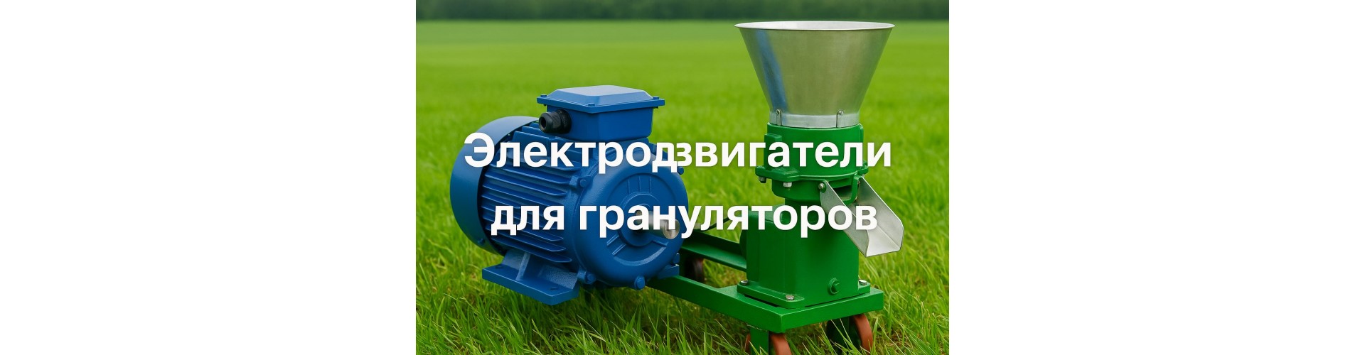 Купить электродвигатель для гранулятора в магазине SILA380 – консультации и доставка +7 (499) 455-85-28