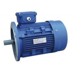 Электродвигатель АИРЕ 100 L4 IM 3081 фланец