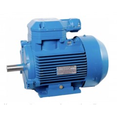 Электродвигатель взрывозащищенный 4ВР 63А4 0,25 кВт 1500 об/мин IM 1081 лапы